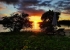 Madagaskar_Landscape_6.jpg