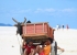 Madagaskar_Landscape_21.jpg