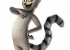 Madagaskar_Wildlife_19.jpg