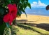 Madagaskar_Landscape_10.jpg