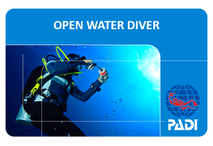 PADI Open Water Diver Tauchsport Leeb-Lange